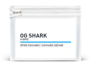 OG Shark